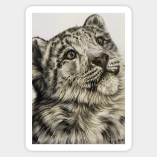 Snow Leopard Cub Sticker